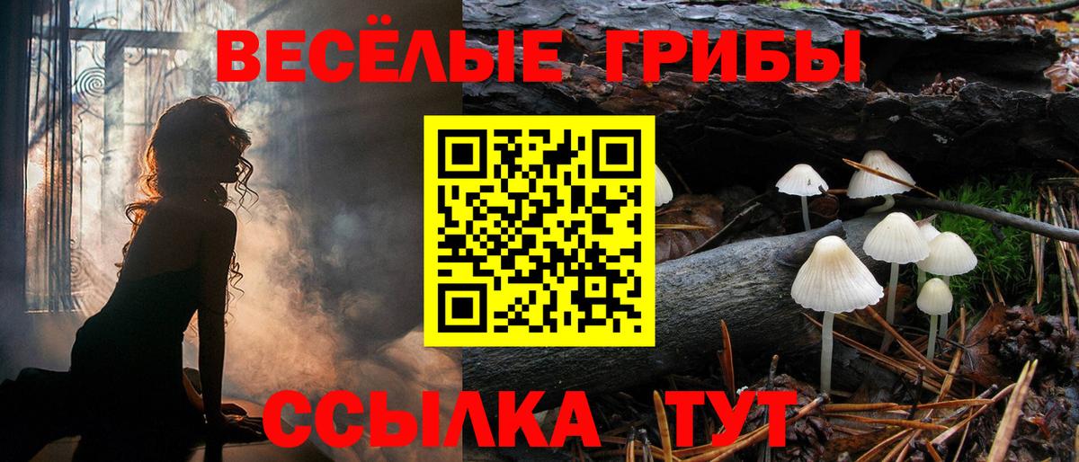 Галлюциногенные грибы Psilocybine cubensis  Вход с VPN  Учалы 
